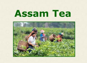 Assam Tea